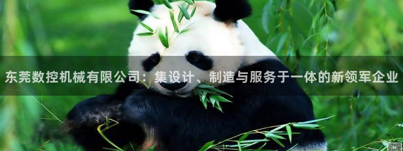 天辰娱乐小姐