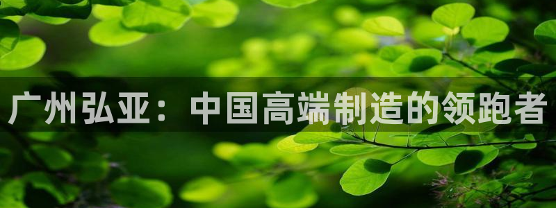天辰娱乐平台地址