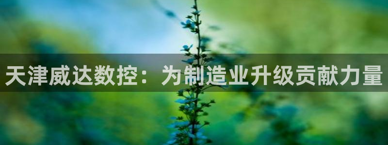 天辰娱乐39596