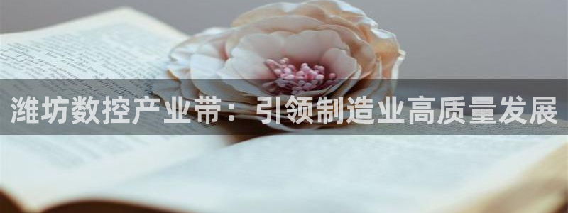 天辰娱乐84566
