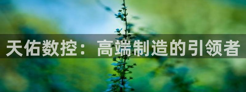天辰娱乐平台入口