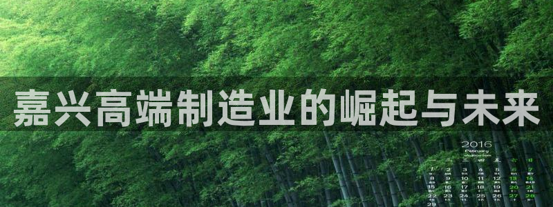 天辰宝宝娱乐