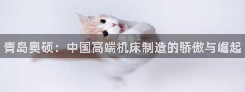 天辰娱乐平台地址