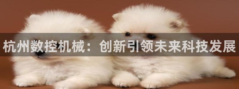 天辰娱乐股东