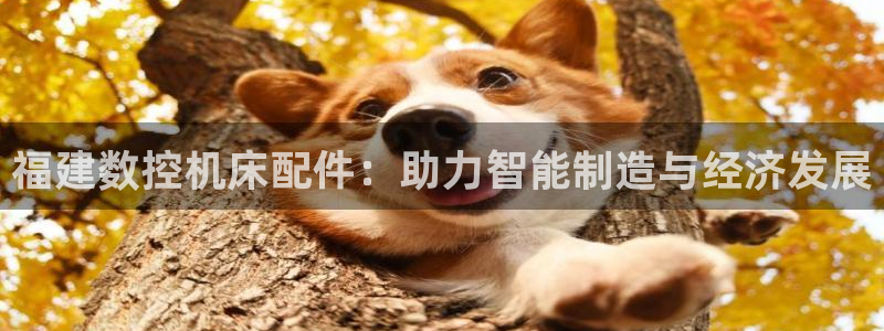 天辰平台娱乐