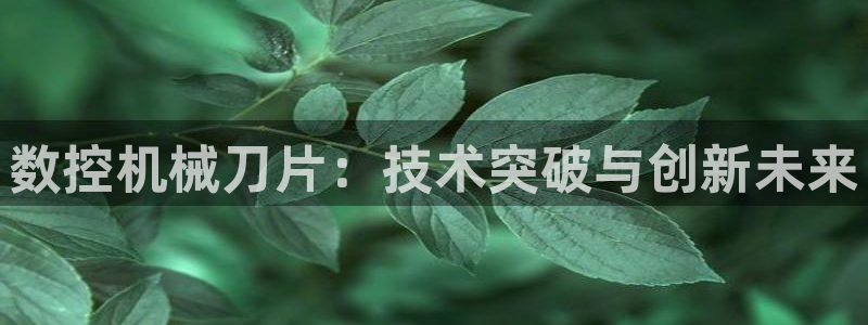 天辰娱乐信誉