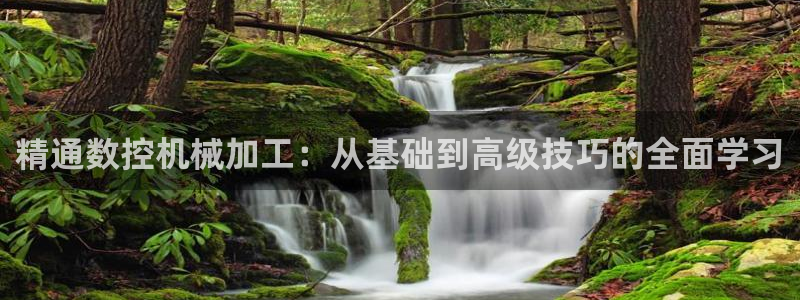 天辰娱乐1980