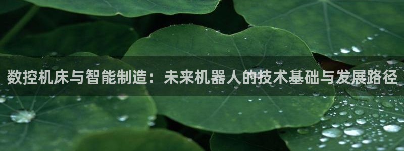 天辰娱乐棋牌：数控机床与智能制造：未来机器人的技术基础与发展路径
