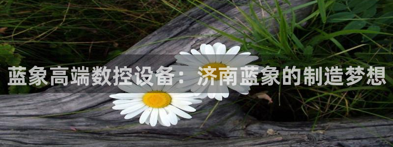 天辰娱乐-q