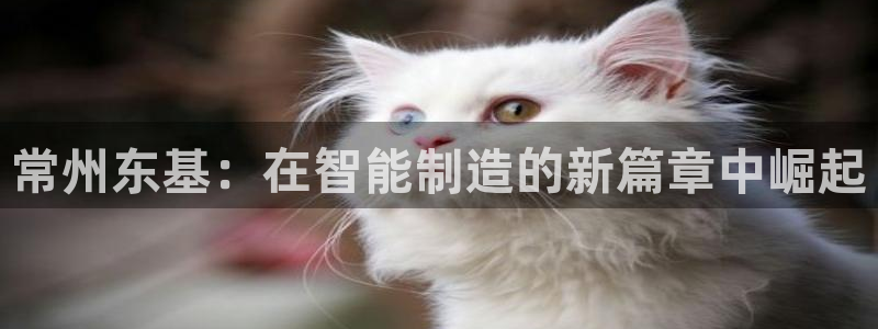 天辰娱乐51137