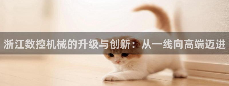 深圳天辰娱乐