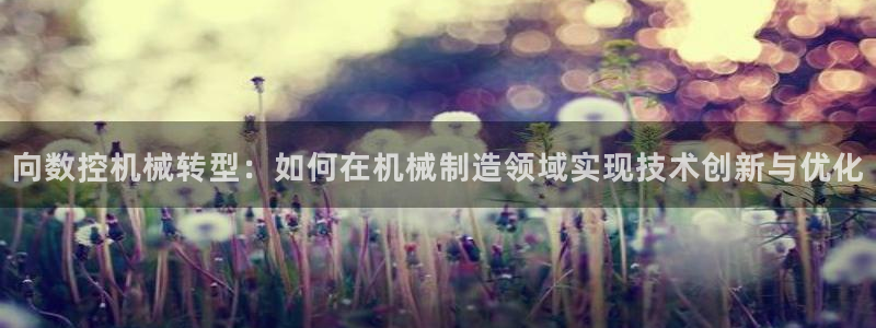 天辰娱乐解封