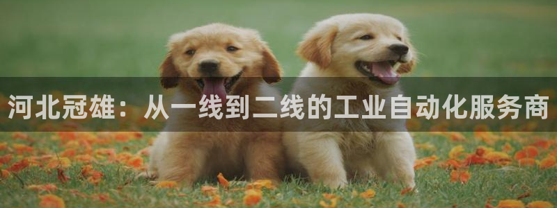 天辰娱乐平台app下载
