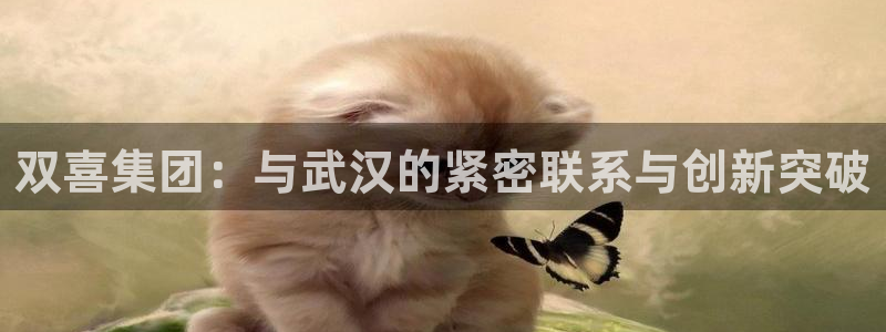 天辰娱乐彩票