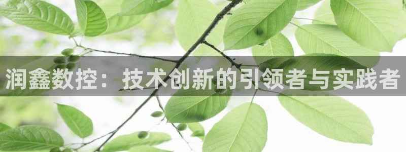 哈尔滨天辰娱乐