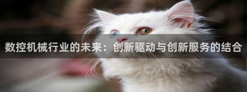 天辰娱乐棋牌：数控机械行业的未来：创新驱动与创新服务的结合