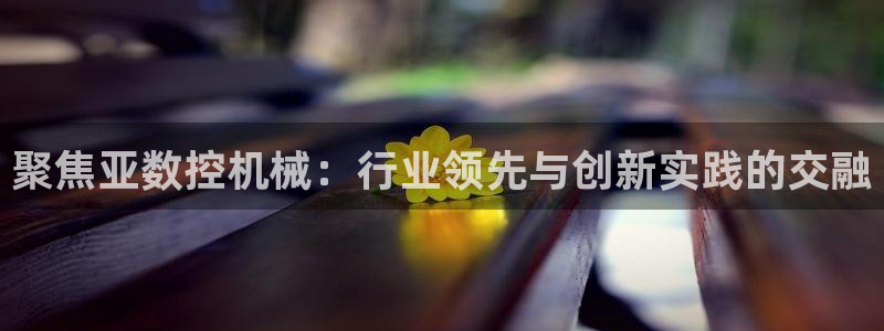 天辰娱乐官方登录入口:聚焦亚数控机械:行业领先与创新实践的交融