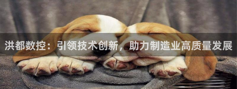 天辰娱乐指定