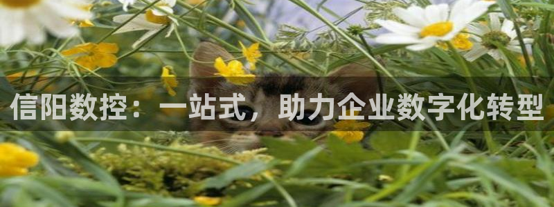 天辰 娱乐 注册