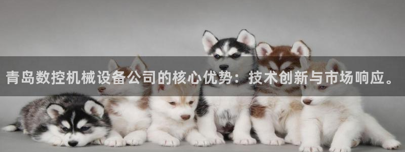 天辰娱乐 首选：青岛数控机械设备公司的核心优势：技术创新与市场响应。