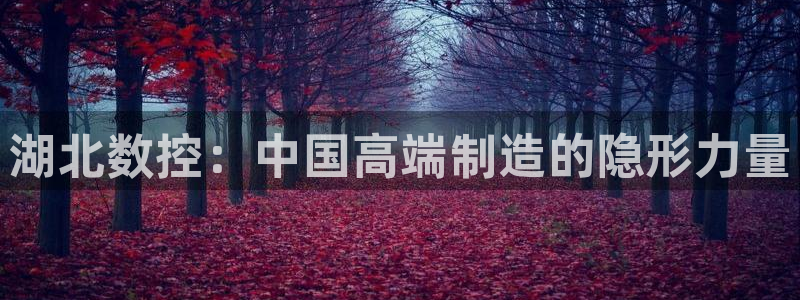天辰娱乐简介