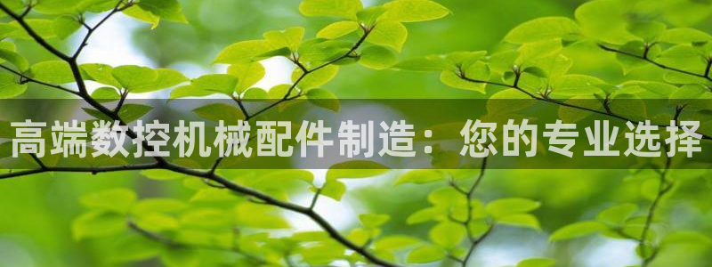 天辰娱乐连接