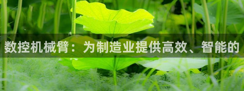 天辰娱乐平台app下载：数控机械臂：为制造业提供高效、智能的