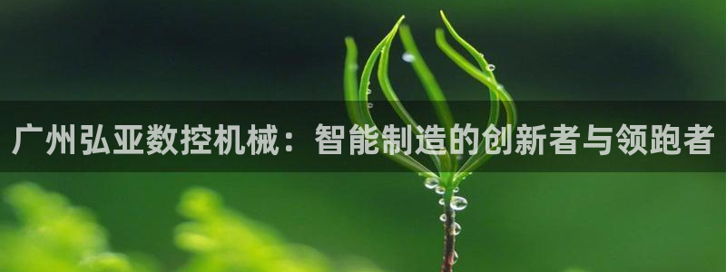 广东天辰娱乐