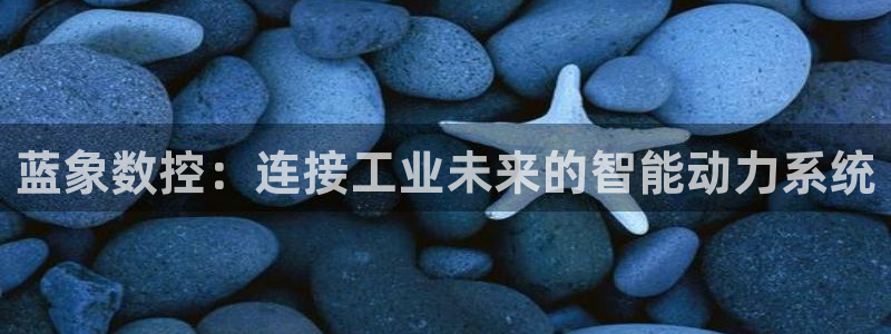 天辰娱乐会员