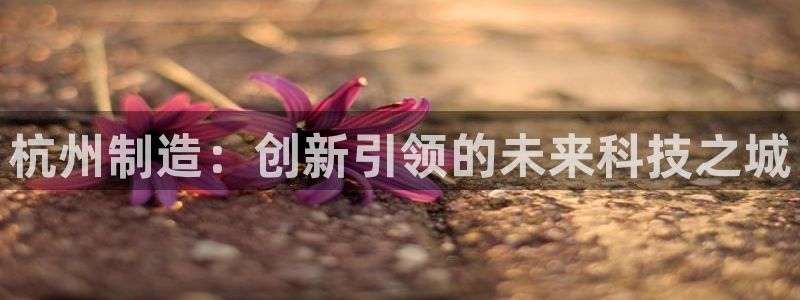 天辰宝娱乐