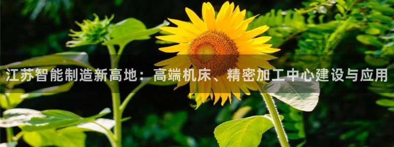 天辰娱乐登录网址