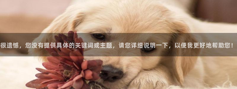 天辰娱乐平台入口：很遗憾，您没有提供具体的关键词或主题，请您详细说明一下，以便我更好地帮助您！
