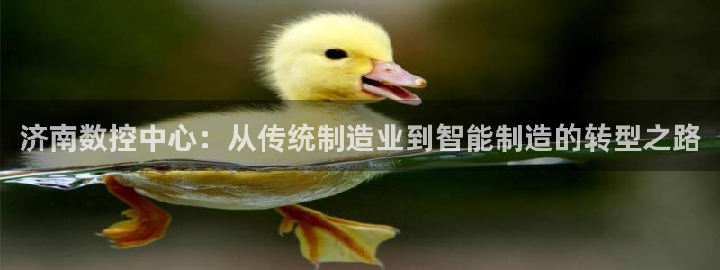 天辰平台娱乐