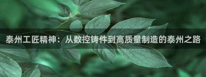 天辰娱乐675138