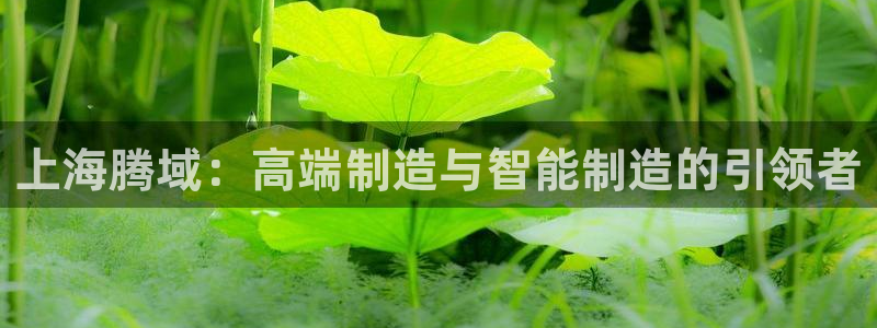 天富娱乐天辰娱乐