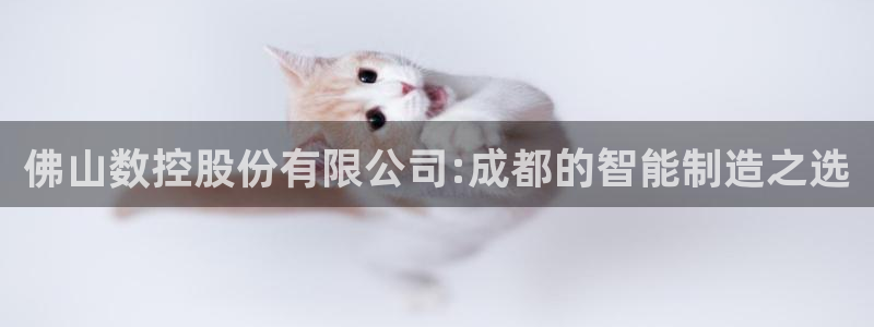 天辰娱乐官网平台入口