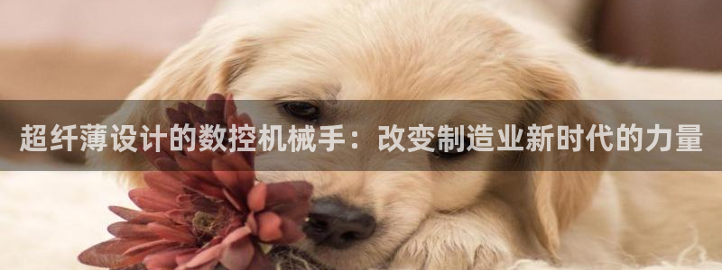 天辰娱乐连接