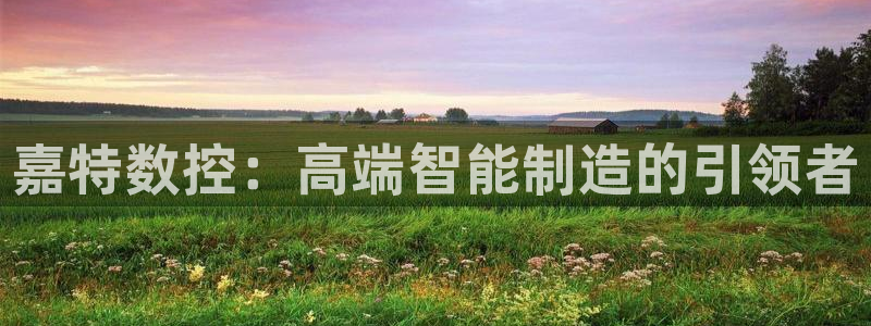 天辰娱乐 主管:嘉特数控:高端智能制造的引领者