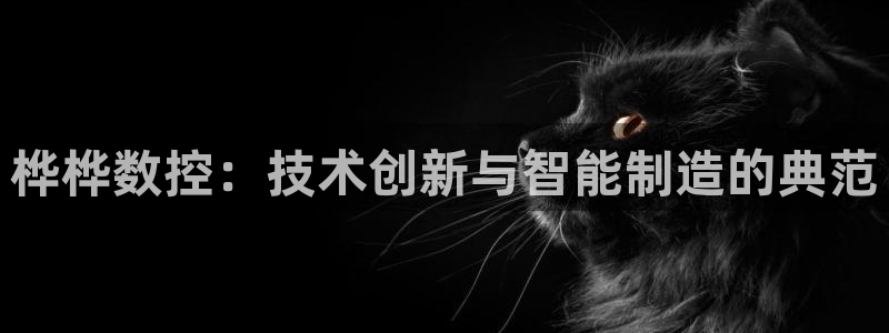 天辰娱乐平台测速