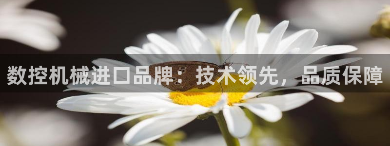 天辰娱乐好吗