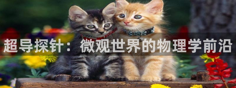 天辰娱乐彩票