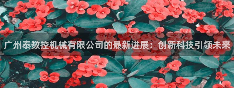天辰娱乐公司
