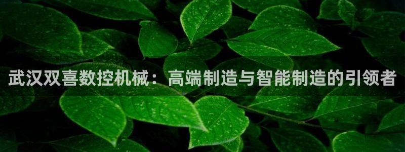 娱乐ktv天辰