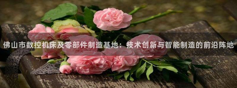 天富天辰娱乐