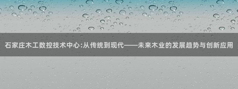 天辰娱乐新闻：石家庄木工数控技术中心:从传统到现代——未来木业的发展趋势与创新应用