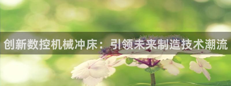 菲律宾天辰娱乐