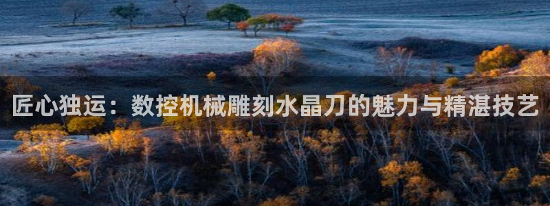 天辰娱乐885544