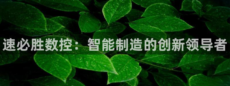 天辰娱乐总管年薪：速必胜数控：智能制造的创新领导者
