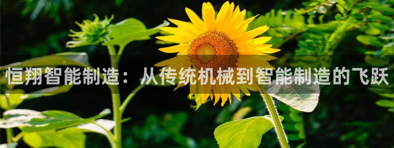 天辰娱乐娱乐平台