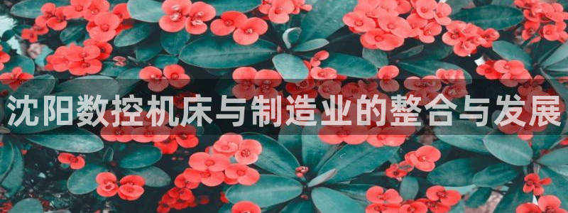 天辰娱乐上级